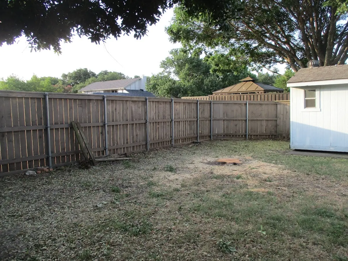 Cleared yard after professional tree removal in Big Horn
